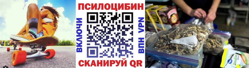 закладка  Учалы  Псилоцибиновые грибы Psilocybine cubensis 